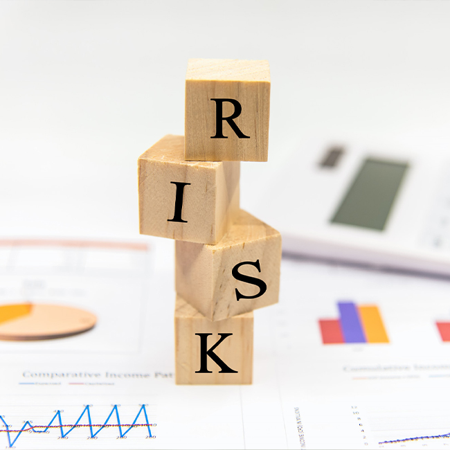 Risk Profile